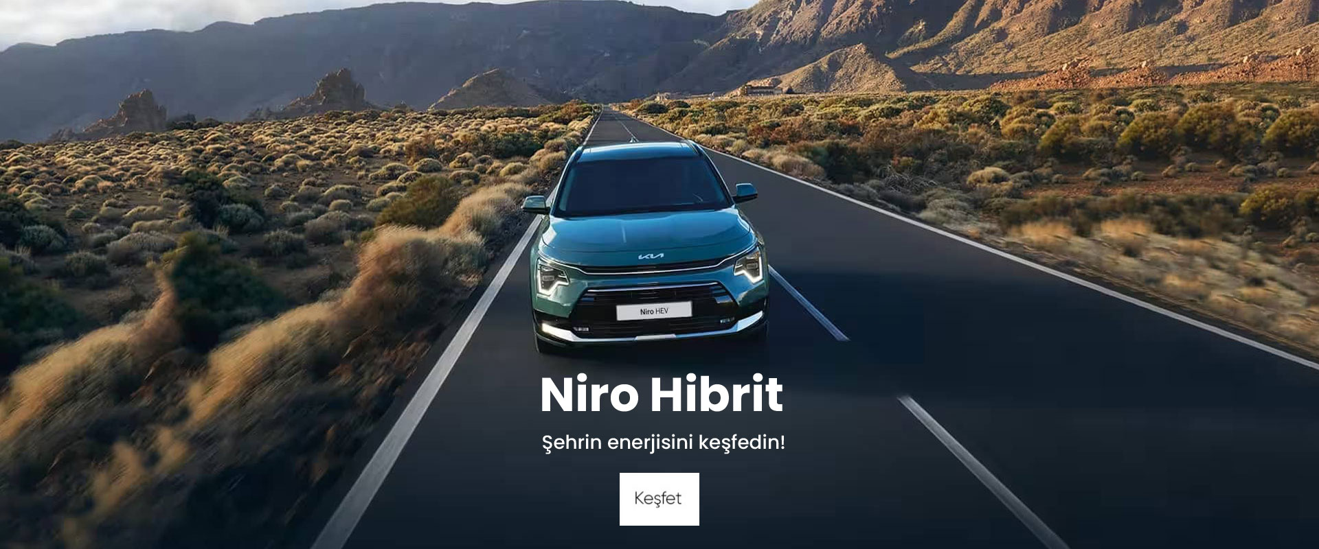 Niro EV